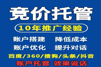 谷歌竞价广告在电商行业的运用案例