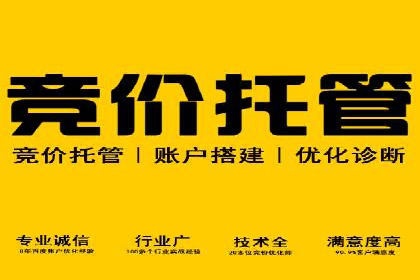 SEM服务托管：从零到一的广告投放增长之路
